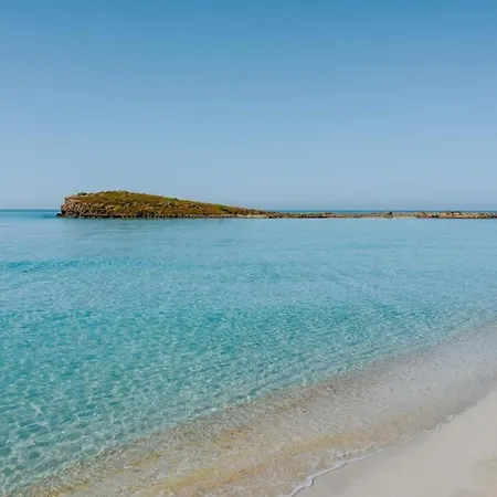 Narcissos Nissi C16 Agia Napa