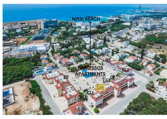 Narcissos Nissi C16 * アヤナパ