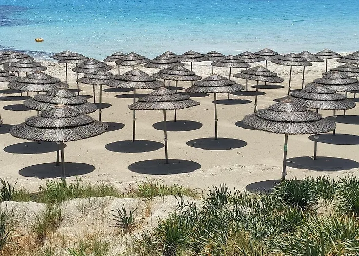 Narcissos Nissi C16 * アヤナパ